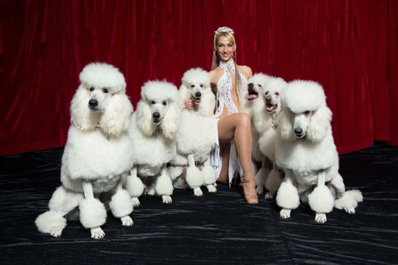 &Dcy;&icy;&kcy;&acy;&yacy; &pcy;&lcy;&acy;&ncy;&iecy;&tcy;&acy;