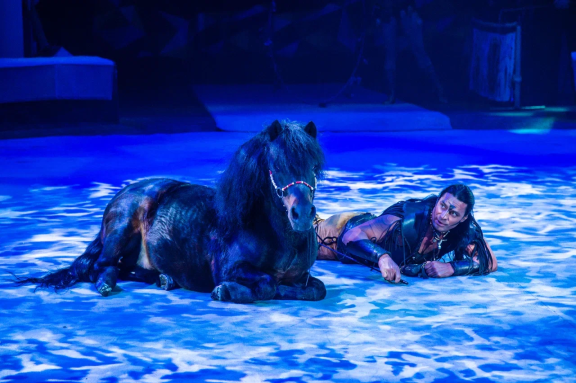 &Dcy;&icy;&kcy;&acy;&yacy; &pcy;&lcy;&acy;&ncy;&iecy;&tcy;&acy;