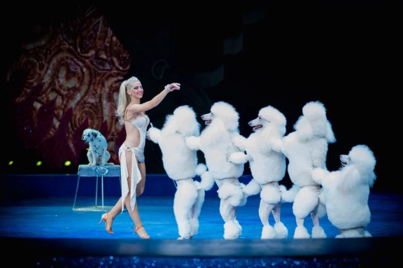 &Dcy;&icy;&kcy;&acy;&yacy; &pcy;&lcy;&acy;&ncy;&iecy;&tcy;&acy;